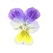Xinhongo 50 Pcs Real Pansy Pressed Dried Pressed Flowers for Art Craft DIY Preserved Flower Decorations Resin Jewelry Pendant Crafts DIY Cards Making