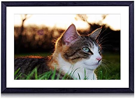 80cmx60cm 木製の黒色のフォトフレーム 横になっている猫草目斑点縞 壁掛け 壁飾り 壁ポスター おしゃれ ウォールアート アートパネル 壁の絵 インテリア絵画 額縁 部屋飾り 装飾画