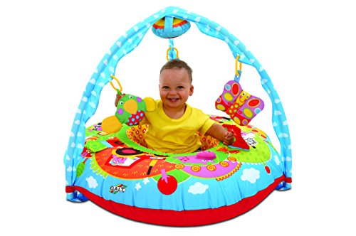 Galt Toys Inc First Years Farm Playnest and Gym