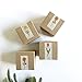 Citrus Gift Set | Solid Lotion & Lip Balm - All Natural Organic - Gift for Co workers, Gift for Teacher, Bridesmaid Gift, Christmas Gift