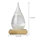 Suntown Global DIY Carving Commemorative Edition Valentine's Day Present Birthday Present 's Storm Glass Decorative Bottles Crafts Creative Stylish Weather Glass Weather Stations- Small