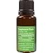 Lime Essential Oil ( Citrus Aurantifolia ) 15ml - 100% Pure Therapeutic Grade Oil by Viola Essentials - Astringent and Antiseptic for Skin Care | Immune booster rich in Vitamin C
