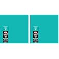 Krylon Fusion All-In-One Adhesive Spray Paint for Indoor/Outdoor Use, 12 oz, Beach Glass (Pack of 2)