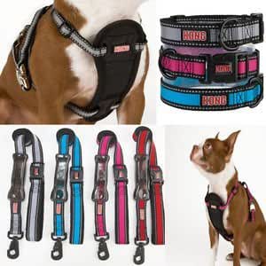 kong reflective harness