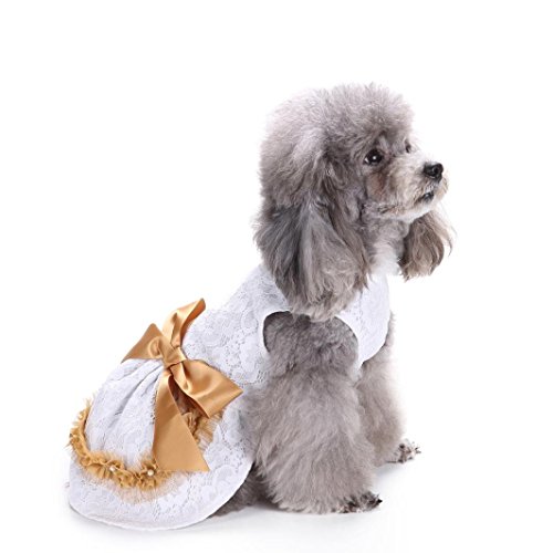 Iuhan Pet Dress, Elegant Lace Pet Clothes for Dog Dress Wedding Apparel Shirts Clothes (M, White)