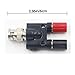 CCC BNC Male To Dual Binding Posts Adapter