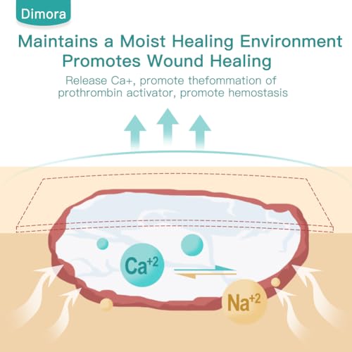 Dimora Calcium Alginate Wound Dressing, 10 x 10cm Patches,10 Individual Sterile Pads, Soft and Highly Absorbent Dressing Gauze, Non-Stick Padding