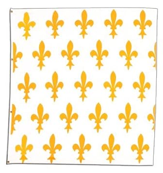 Digni Drapeau France Fleur De Lys Blanc 150 X 150 Cm
