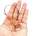 Carp Fishing Baits Hook Lure Trap Hooks with Spring Feeder Coarse Carp Fishing Tackle