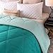 Exclusivo Mezcla Lightweight Reversible Down Alternative Quilted Comforter Duvet for All Seasons, Twin Size, Teal Green