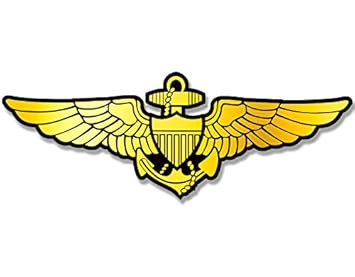 Golden Eagle Aviation Academy Reviews And Info On Best