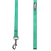 Blueberry Pet Essentials Emerald Dog Leash for X-Small -5' * 3/8