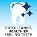 Mountain Falls Pre-Brush Dental Rinse, Mint, Compare to Plax, 24 Fluid Ounce