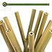 Reusable Bamboo Drinking Straws by Primal Ethic – Plastic Straw Alternative – Organic, Biodegradable – with 2 Cleaning Brushes & Storage Bag – 8 or 9.5 Inch - Variable Quantities