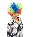 Funny Party Hats Clown Costume Adult - Clown Wig, Clown Shoes, and Costume Accessory - Clown Costume Accessories