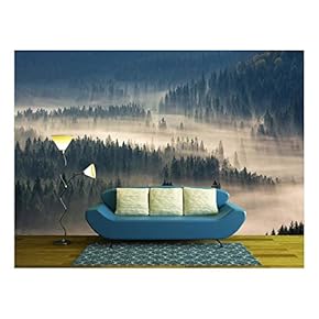 BRAND_NAMEfir Trees on a Meadow Down The Will...