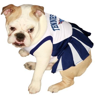 tennessee titans dog jersey