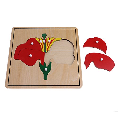 6 MagiDeal+Montessori+Puzzles+Learning+Educational