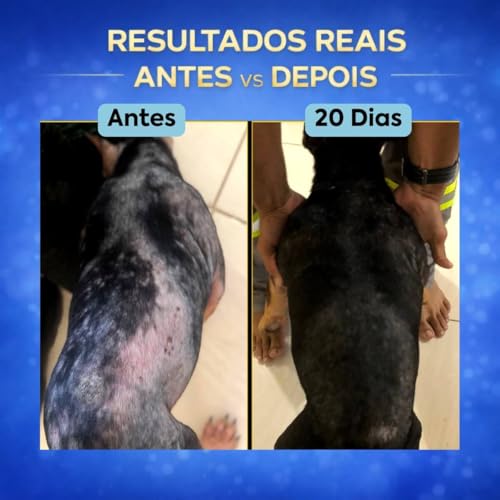 Suplemento Cachorro Forte Pelo & Derme 250g | Pele Saudável e Pelagem Forte | Auxilia na Queda de Pelos e Coceiras | Biotina, Zinco e Ômega 3 | VeterinUp