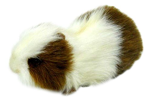 Hansa guinea pig plush, brown/white