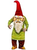 Fun World Unisex Big Head Evil Gnome Adult Costume
