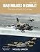 Iraqi Mirages In Combat: The story of the F.1EQ in Iraq by Miguel Garcia