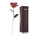24K Red Rose Christmas Her, Eternal Love Real Gold Plated Rose Flower, Romantic Wife, Mom, Grandma, Anniversary Present, Birthday, Wedding ( Red)