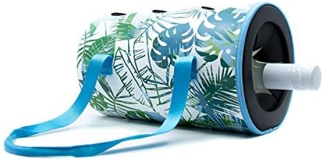 insulated portable beverage cooler