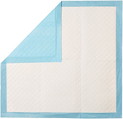 2 AmazonBasics+Heavy+Training+Regular+50+Count