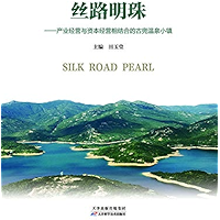 丝路明珠：产业经营与资本经营相结合的古兜温泉小镇 (Chinese Edition) book cover