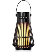 Amazon.com: DIKAOU Led Flame Speaker 