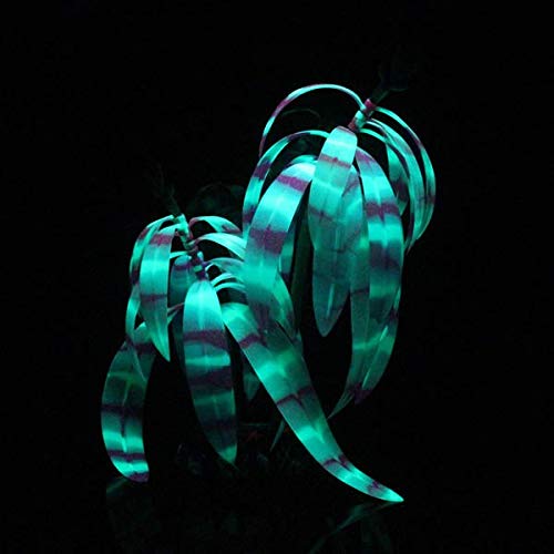 CLASSIC Aqua Lumo Aqua Lumo Silicon Fluorescent Purple Stripe Plant