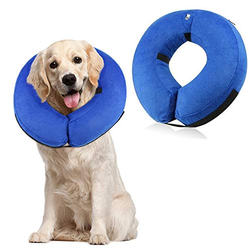 comfortable e collar