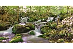 GOTLOS Tropical Forest Waterfall Terrarium Background, Natural Waterfall Forest Tree Reptile Habitat Background 48X24IN with 10 EVA Double-Sided Tape