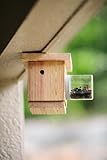 Bees N Things Carpenter Bee Trap