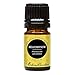 Helichrysum Splendidum 100% Pure Therapeutic Grade Essential Oil by Edens Garden- 5 ml