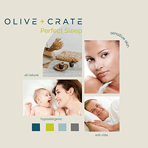 Olive + Crate 100 Cooling Eucalyptus Comforter SilkenSoft Lyocell