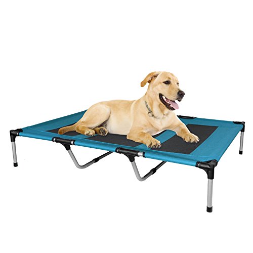 Best Taking Apart A Bed Frame
