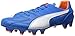 PUMA Men's Evospeed 1.4LTHFG Soccer Shoe