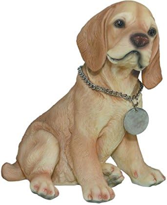 buff cocker spaniel puppy