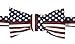 John William American Flag USA Patriotic Striped Self Tie Bow Tie