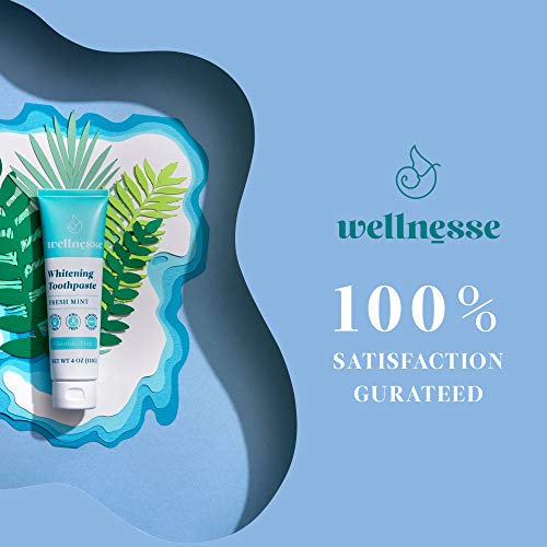 Wellnesse ExtraWhitening Hydroxyapatite Toothpaste Remineralizing