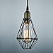 CLAXY Ecopower Industrial Opening and Closing Plug-in Pendant Lighting Wire Cage Lamp Guard Fixture