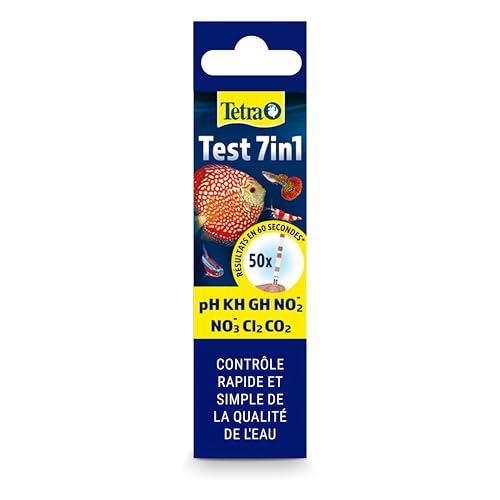 Test 7 en 1