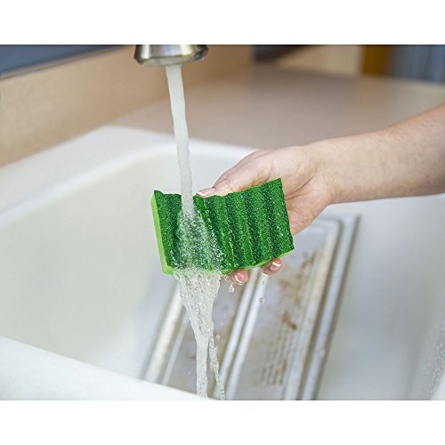 4 Lysol+Durable+Scrub+Sponges+2+Pack