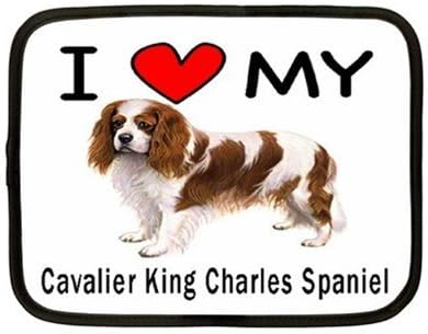 loving cavalier king charles spaniel