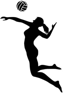Pegatinas Pared Murales Jugador De Voleibol Silueta Deportes Puerta