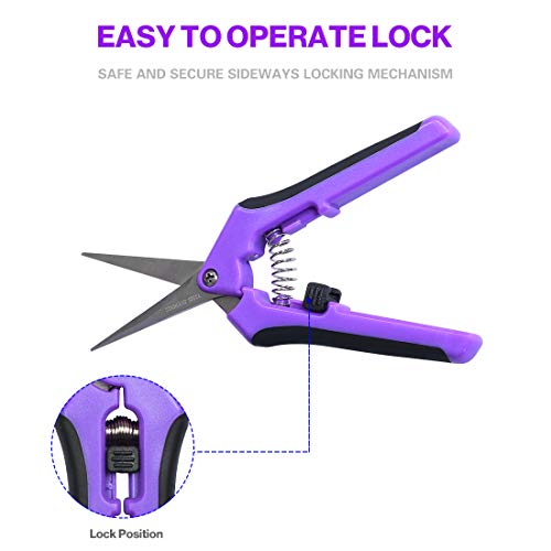 Terme Two Packs of Gardening Hand Pruner Pruning Shear with Straight Stainless Steel Blades