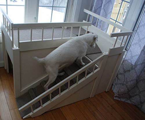 dog window bed
