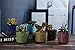 T4U 2.5 Inch Small Ceramic Succulent Planter Pot with Drainage Hole Set of 6, Ice Crack Glaze Plant Container for Cactus, Succulent Plant Gifts for Women Mom Aunt Home Office Decor
